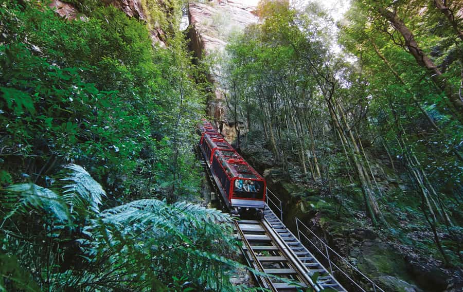 Blue Mountain: Small-Group Tour with Lunch & Scenic World - Extra lookouts and time on the road