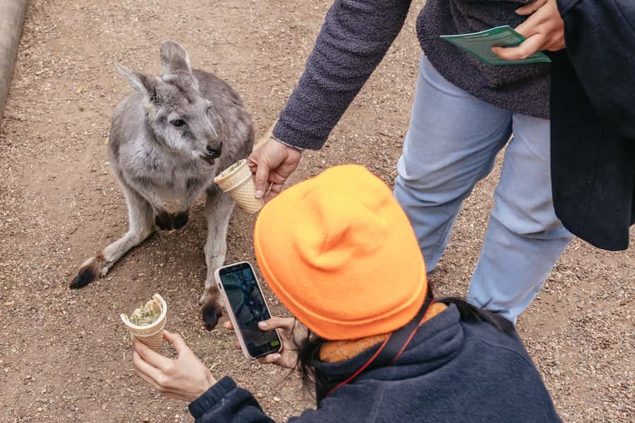 Blue Mountain: Small-Group Tour with Lunch & Scenic World - The ferry back beneath the Harbour Bridge