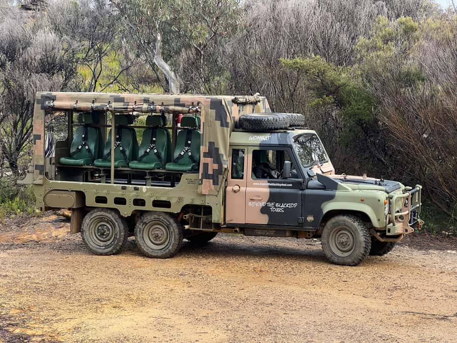 Blue Mountains 3 Hour Army Truck Adventures - Why the old army truck changes the Blue Mountains