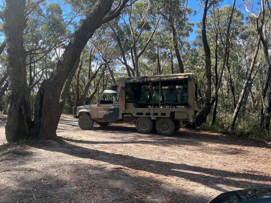 Blue Mountains 3 Hour Army Truck Adventures - Katoomba, Medlow Bath, and Blackheath