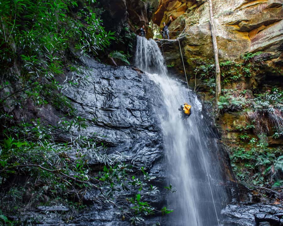 Blue Mountains: Abseiling and Canyoning Experience - What the canyoning section demands