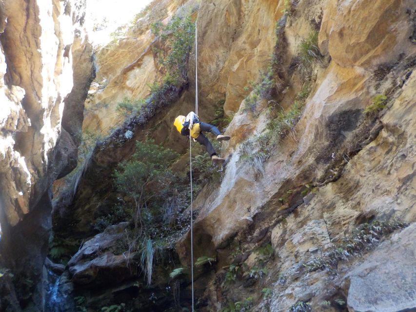 Blue Mountains: Abseiling and Canyoning Experience - Who should book this adventure