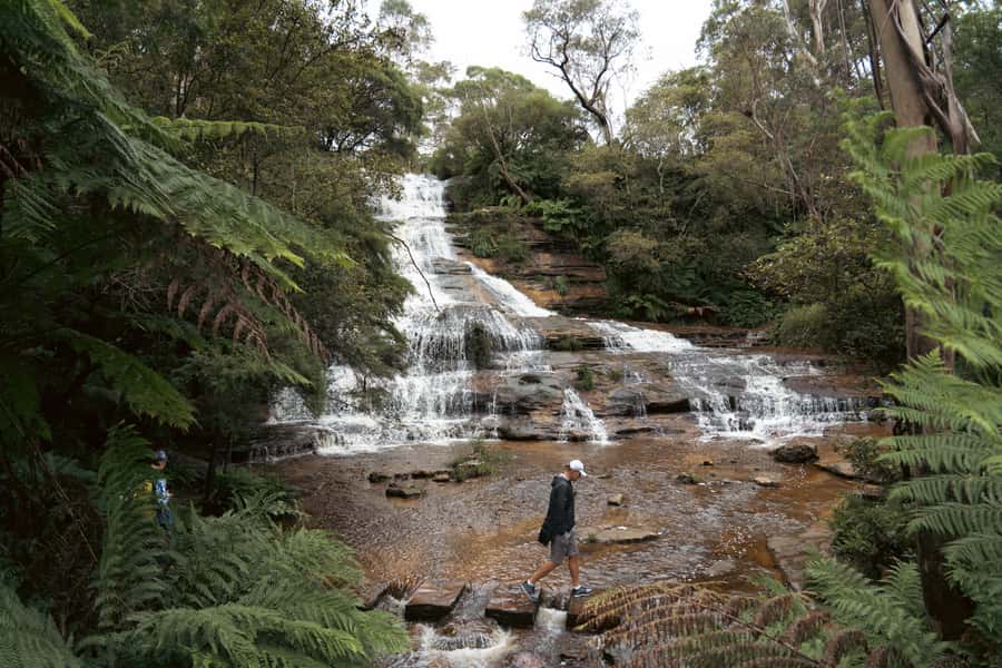 Blue Mountains Adventure: Scenic World, Zoo & Koala Photo - Katoomba Cascades adds a short walk