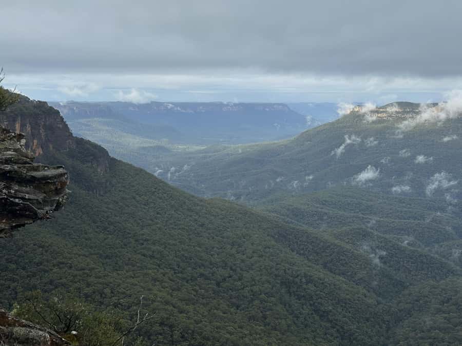 Blue Mountains Adventure: Scenic World, Zoo & Koala Photo - Sydney Zoo and the included koala photograph