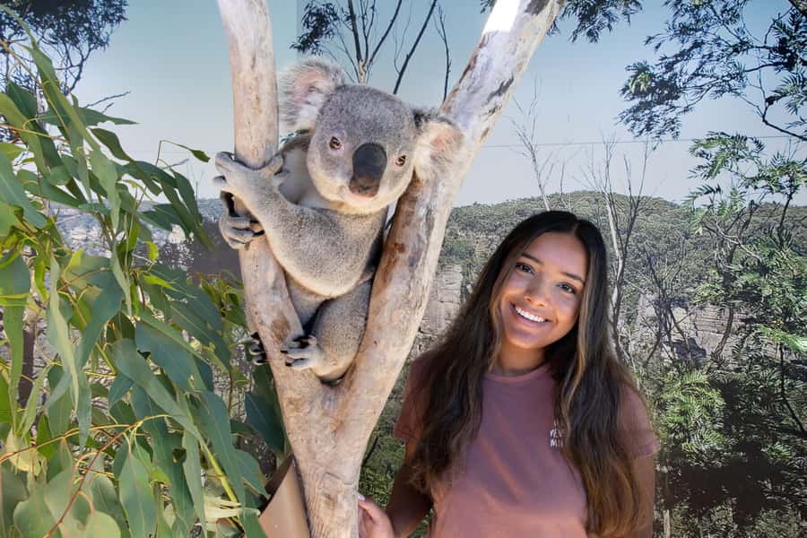 Blue Mountains Adventure: Scenic World, Zoo & Koala Photo - The ferry is a smart way to finish