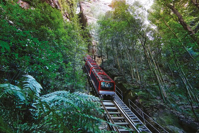 Blue Mountains Adventure w Scenic World, Zoo, Koala Photo & Ferry - Key points before you book