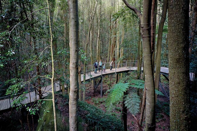 Blue Mountains Adventure w Scenic World, Zoo, Koala Photo & Ferry - Why this Blue Mountains day works so well