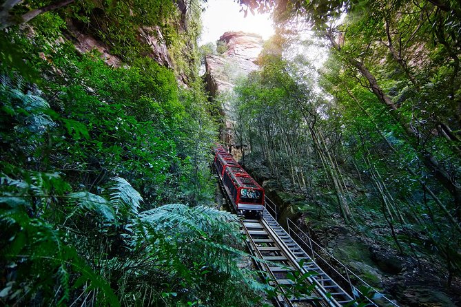 Blue Mountains Day Tour Including Parramatta River Cruise - Key points to know before booking
