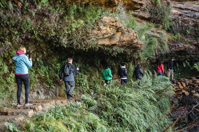 Blue Mountains Day Tour With Bushwalks, Waterfalls & Featherdale - Wentworth Falls and the bushwalk