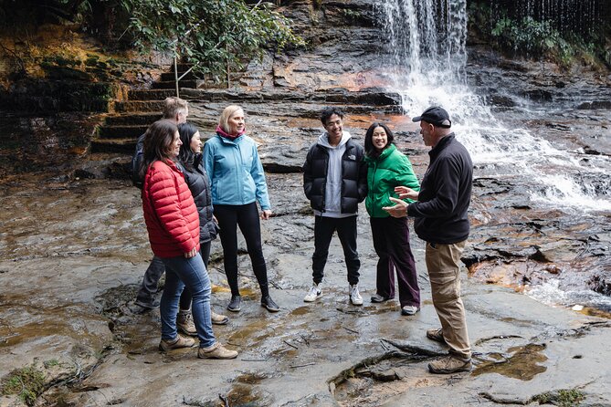 Blue Mountains Day Tour With Bushwalks, Waterfalls & Featherdale - Featherdale Wildlife Park