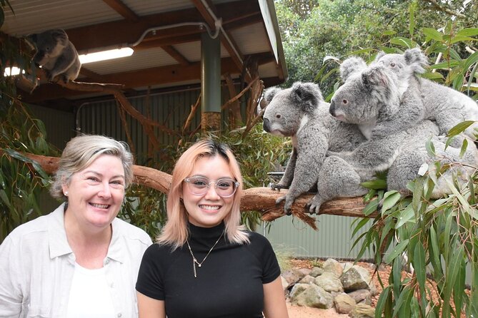 Blue Mountains Day Tour with Wildlife and Scenic World Entry - How physically demanding is the day?