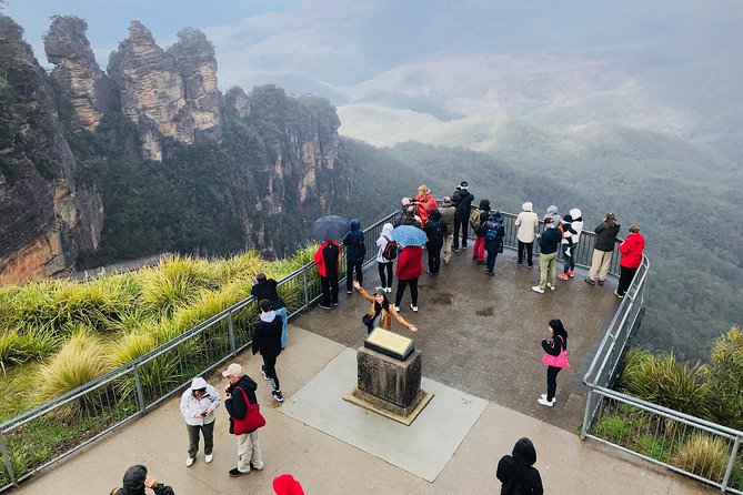 Blue Mountains Full Day Guided Tour - Short hikes, rainforest, and plants