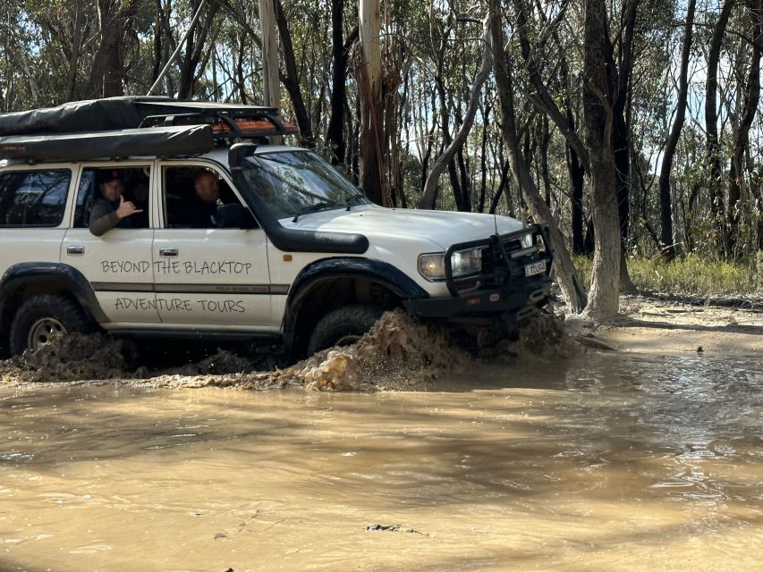Blue Mountains: Full Day Guided Tour with Lunch - Off-road travel and short walks
