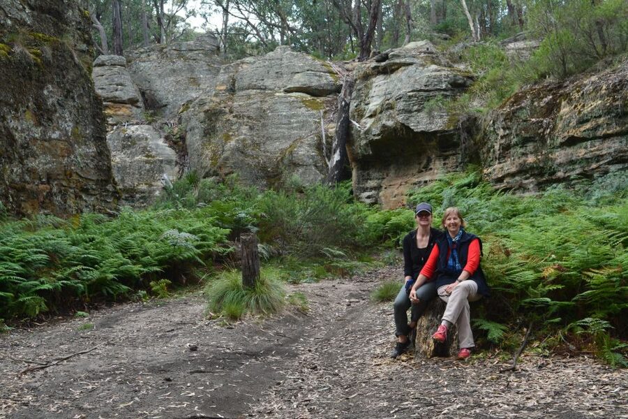 Blue Mountains: Full Day Guided Tour with Lunch - Guides who shape the day around you