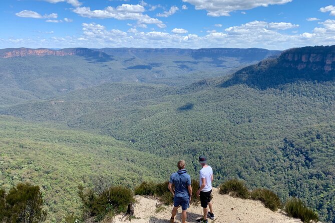 Blue Mountains Private Tour From Sydney, & Featherdale Aussie Animal Park Option - A private start across Sydney Harbour Bridge