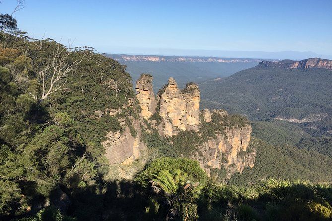 Blue Mountains Private Tour From Sydney, & Featherdale Aussie Animal Park Option - Featherdale Wildlife Park, an optional first stop