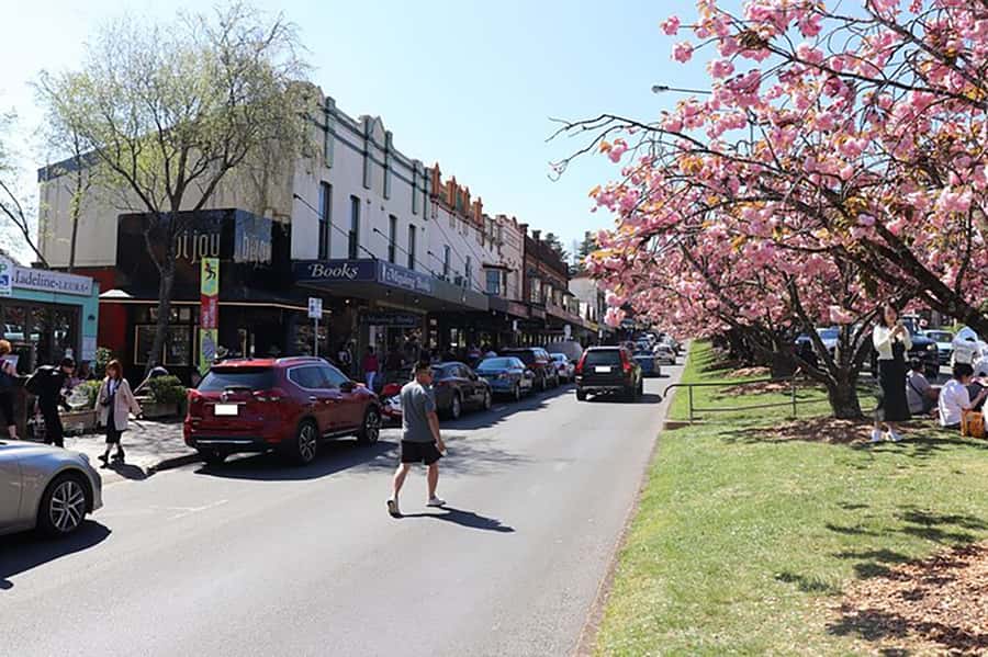 Blue Mountains: Private Tour with Wildlife and River Cruise - Katoomba Falls and the mountain lookouts