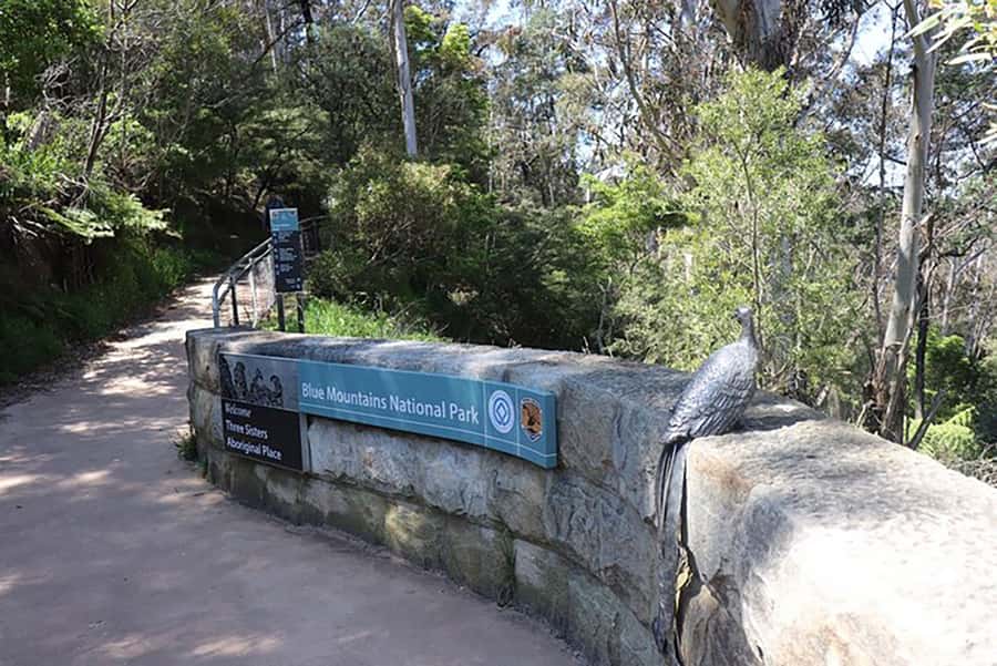 Blue Mountains: Private Tour with Wildlife and River Cruise - Leura Mall for lunch and a change of pace