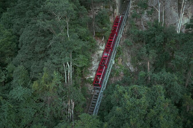 Blue Mountains Small-Group Tour from Sydney with Scenic World,Sydney Zoo & Ferry - Scenic World: three rides and a rainforest walk