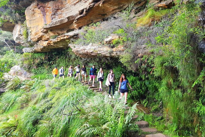 Blue Mountains Small Group Tour with Waterfall Walk & Fresh Lunch - The early start from central Sydney