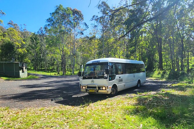 Blue Mountains Small Group Tour with Waterfall Walk & Fresh Lunch - Echo Point and the Three Sisters