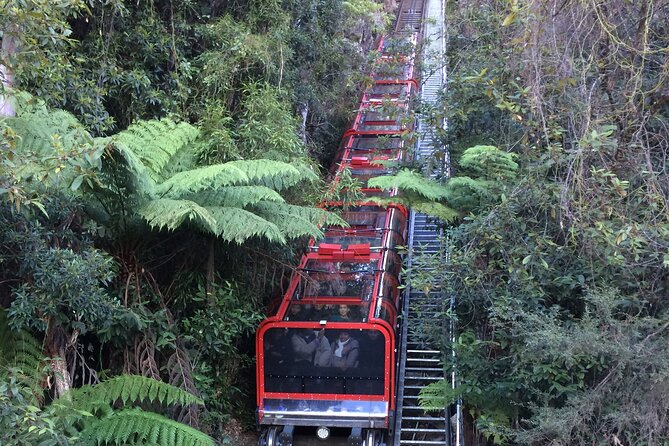 Blue Mountains Tour PRIVATE with Wildlife Park and River Cruise - Leura, the garden village