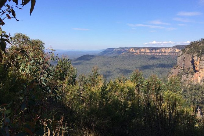 Blue Mountains Tour PRIVATE with Wildlife Park and River Cruise - Aboriginal culture and the guide’s commentary