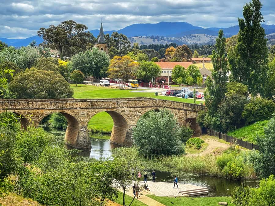 Bonorong Wildlife Sanctuary Half-Day Tour from Hobart - Why this short Hobart tour works