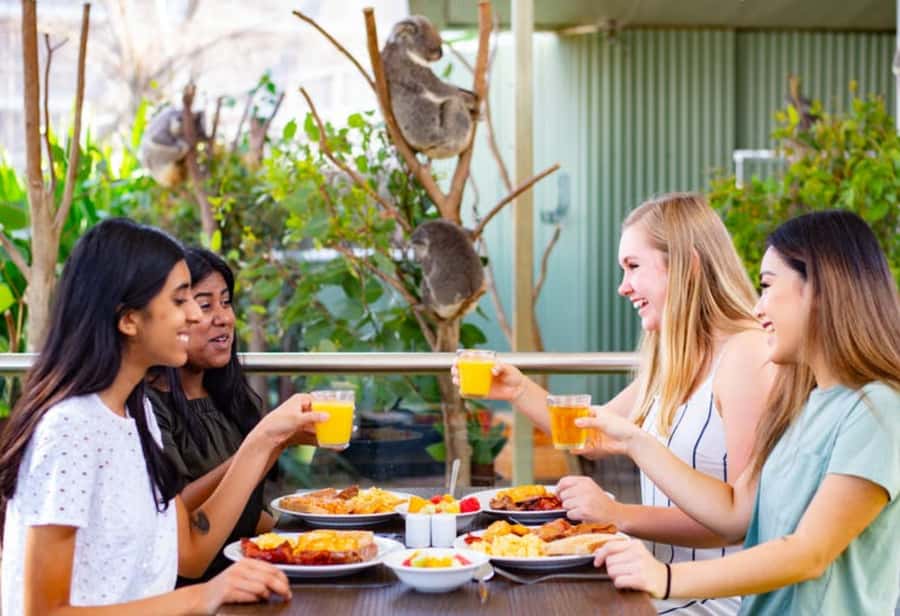 Breakfast with Koalas at WILD LIFE Zoo Darling Harbour - Key points to know before booking