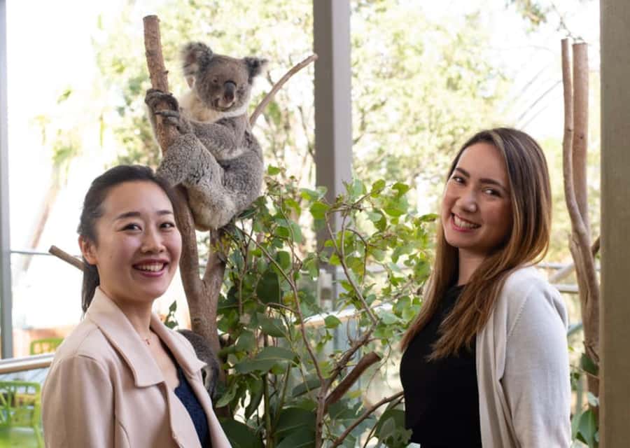 Breakfast with Koalas at WILD LIFE Zoo Darling Harbour - The first hour: a keeper-led tour through Australian wildlife