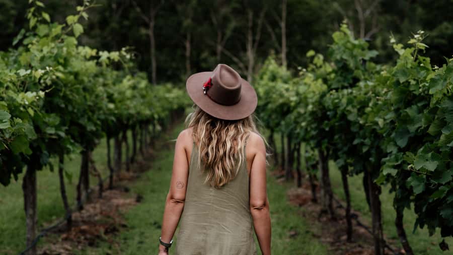 Brisbane: Boutique Winery Tour with Gourmet Lunch - The road from Brisbane to Tamborine Mountain
