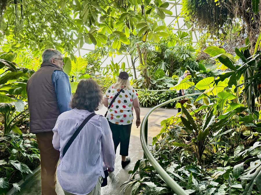 Brisbane Bus Tour: City highlights | Small group | Snack - Why this four-hour Brisbane tour works