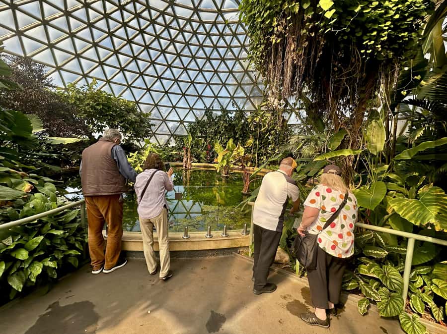 Brisbane Bus Tour: City highlights | Small group | Snack - Crossing Story Bridge toward New Farm