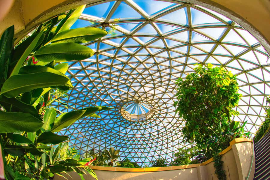 Brisbane Bus Tour: City highlights | Small group | Snack - What the $84 price includes