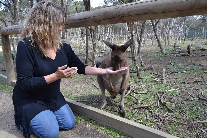 Brisbane Bus Tour: Max 10 people | Half Day | Morning tea inc. - Kangaroo Point Cliffs Park: a quick river view