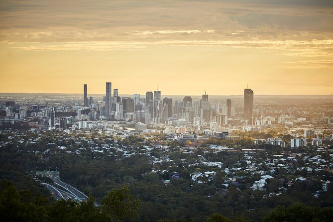 Brisbane Bus Tour: Max 10 people | Half Day | Morning tea inc. - Mount Coot-tha Summit Lookout: the morning’s main reward