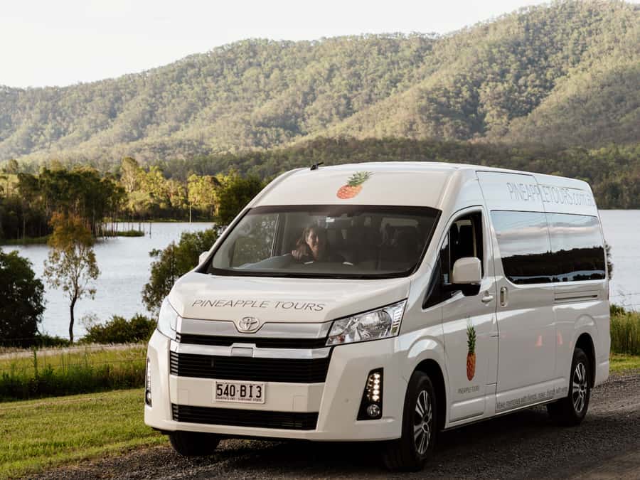 Brisbane: Daytime Glow Worm Caves Hop-on Hop-off Bus Tour - Key points to know before booking