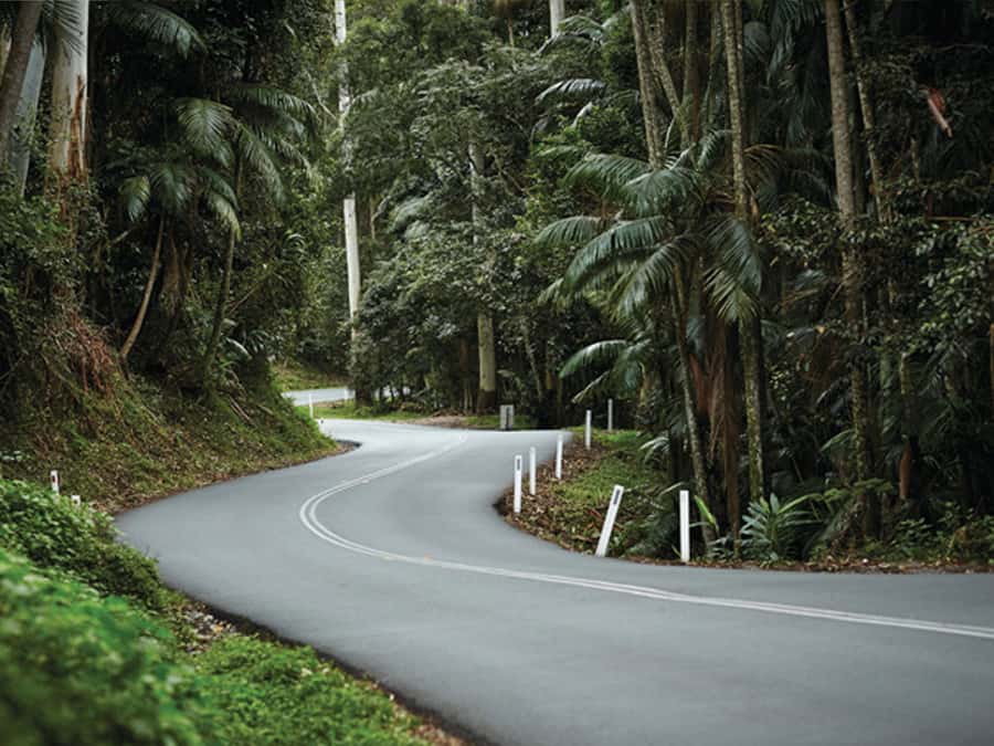 Brisbane: Daytime Glow Worm Caves Hop-on Hop-off Bus Tour - The one-hour journey from Brisbane