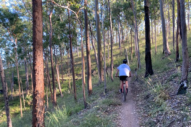 Brisbane Electric Mountain Bike Experience Tour - A private tour with useful personal attention