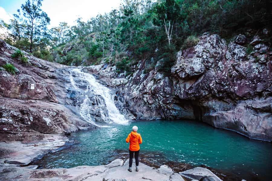 Brisbane: Hop on Hop off Bus to Tamborine Mountain - Who should book this Tamborine Mountain pass?