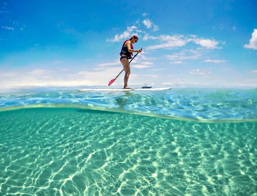 Brisbane: Moreton Island Return Ferry & Adventure Day Pass - Kayaking toward the shipwrecks