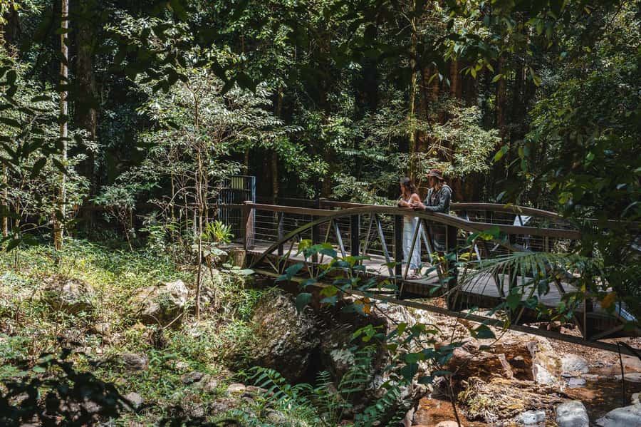 Brisbane: Rainforests, Waterfalls and Glow Worm Cave Tour - Hang Glider Lookout and the Scenic Rim views