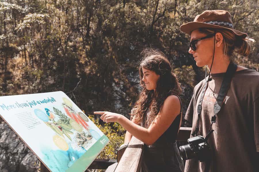 Brisbane: Rainforests, Waterfalls and Glow Worm Cave Tour - Gallery Walk gives you a proper midday break