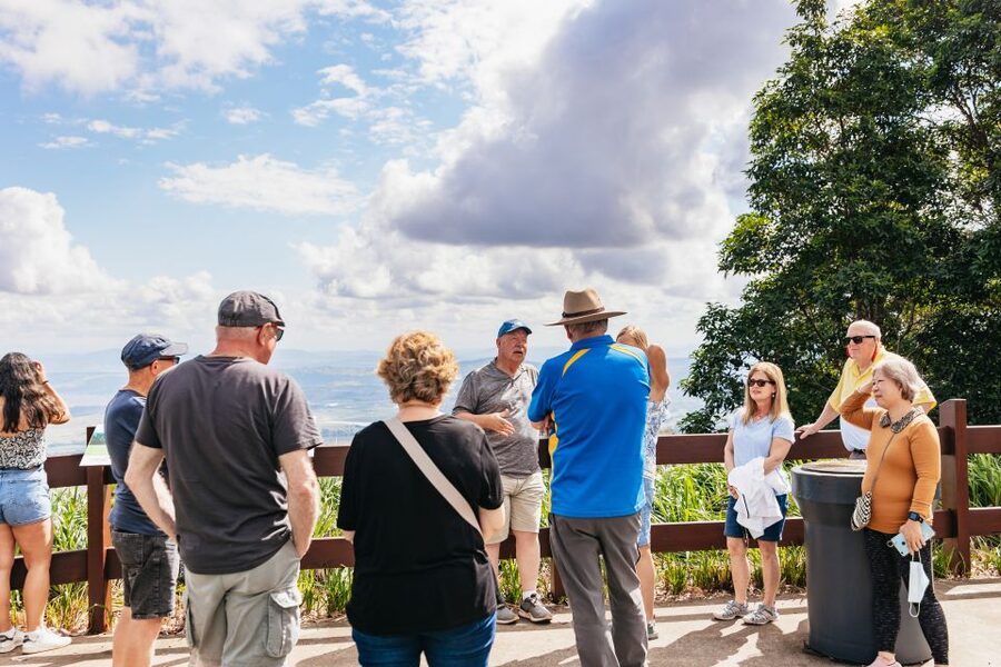 Brisbane: Rainforests, Waterfalls and Glow Worm Cave Tour - The drive through Numinbah Valley