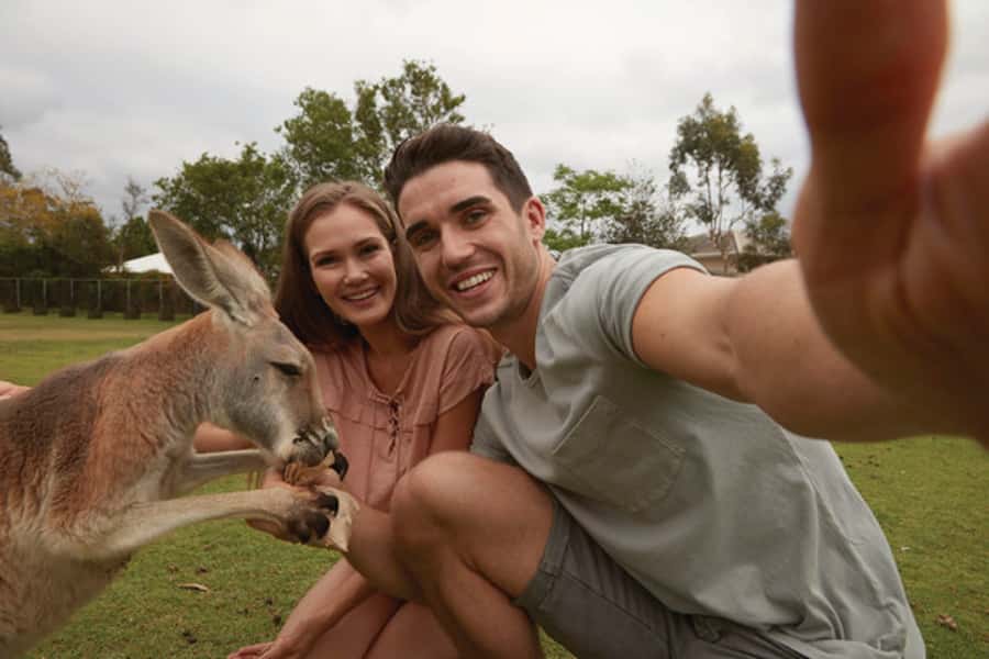 Brisbane River Cruise and Koala Sanctuary Visit - Why the river route makes sense