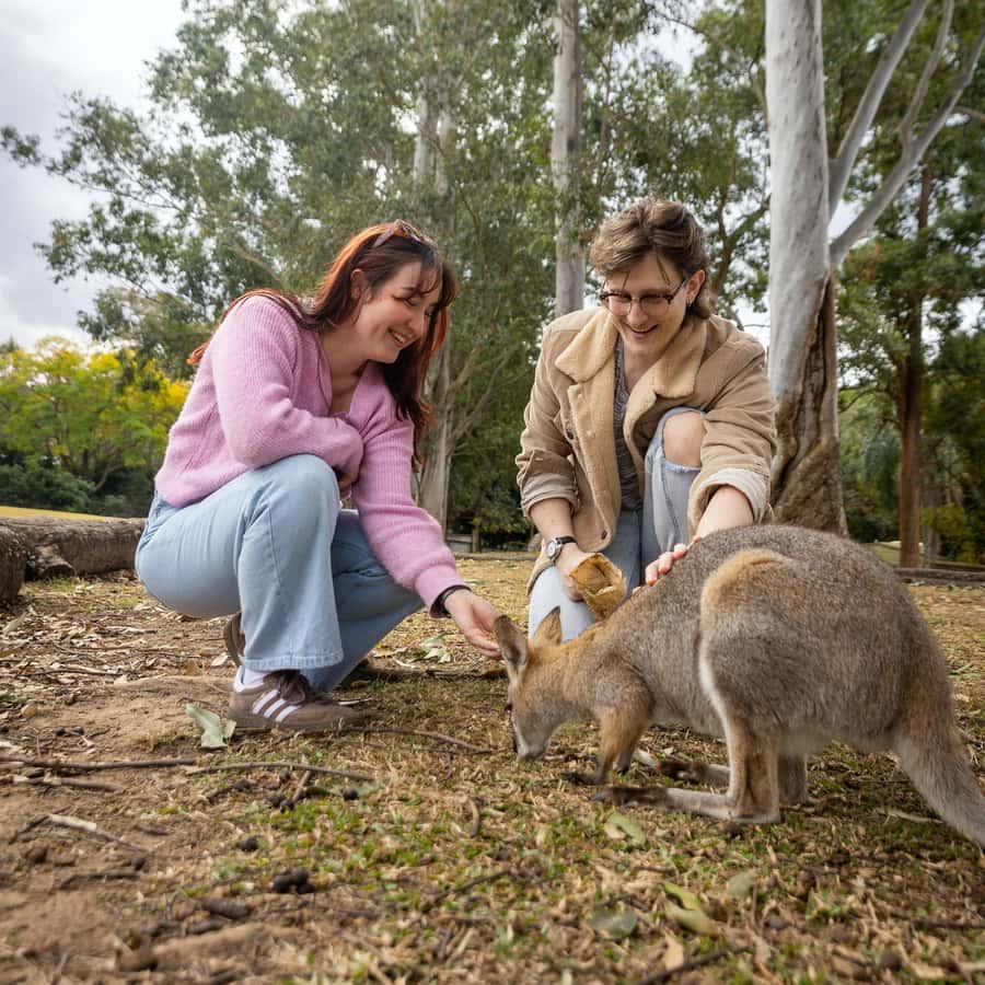 Brisbane River Cruise and Koala Sanctuary Visit - Practical plan for a smoother day