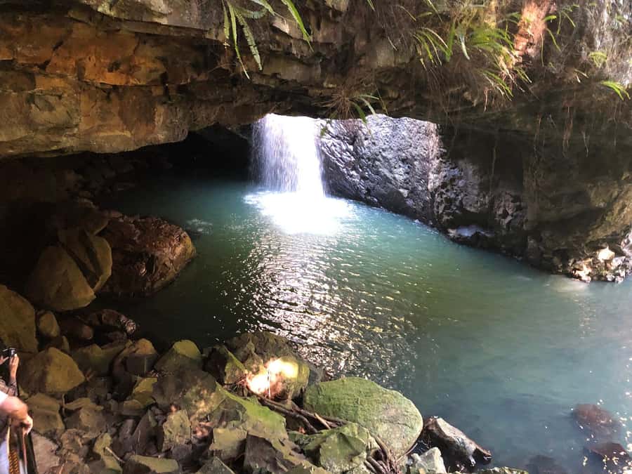 Brisbane: Springbrook and Mt Tamborine Glow Worm and Skywalk - Key points at a glance