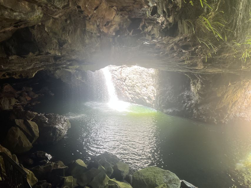 Brisbane: Springbrook and Mt Tamborine Glow Worm and Skywalk - Who will enjoy this day most?