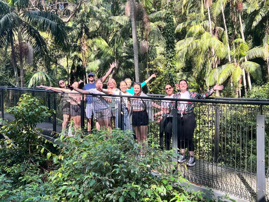 Brisbane: Springbrook and Mt Tamborine Glow Worm and Skywalk - Lunch without a restaurant detour
