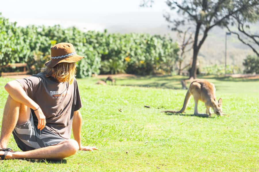 Brisbane: Stradbroke Island Eco Tour - Small Group, Full Day - The best parts of the day at a glance